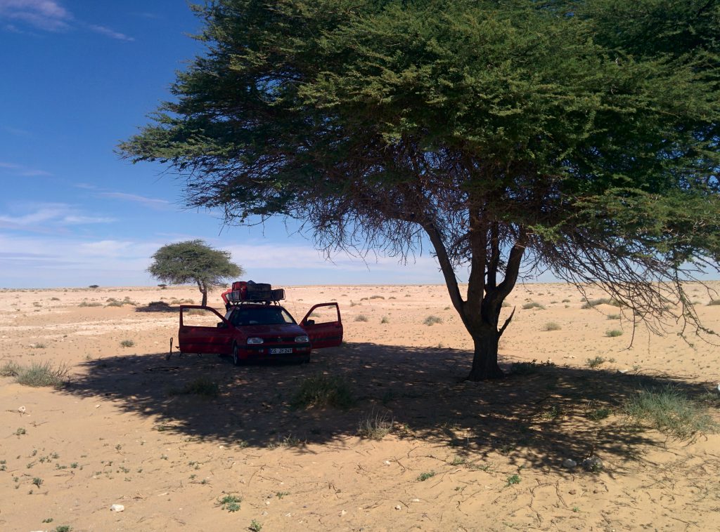 Pause unter Schattenbaum